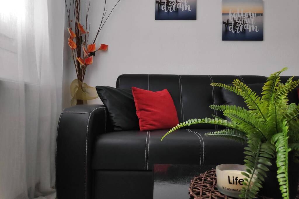 Iris Room Metamorfosi  Luaran gambar