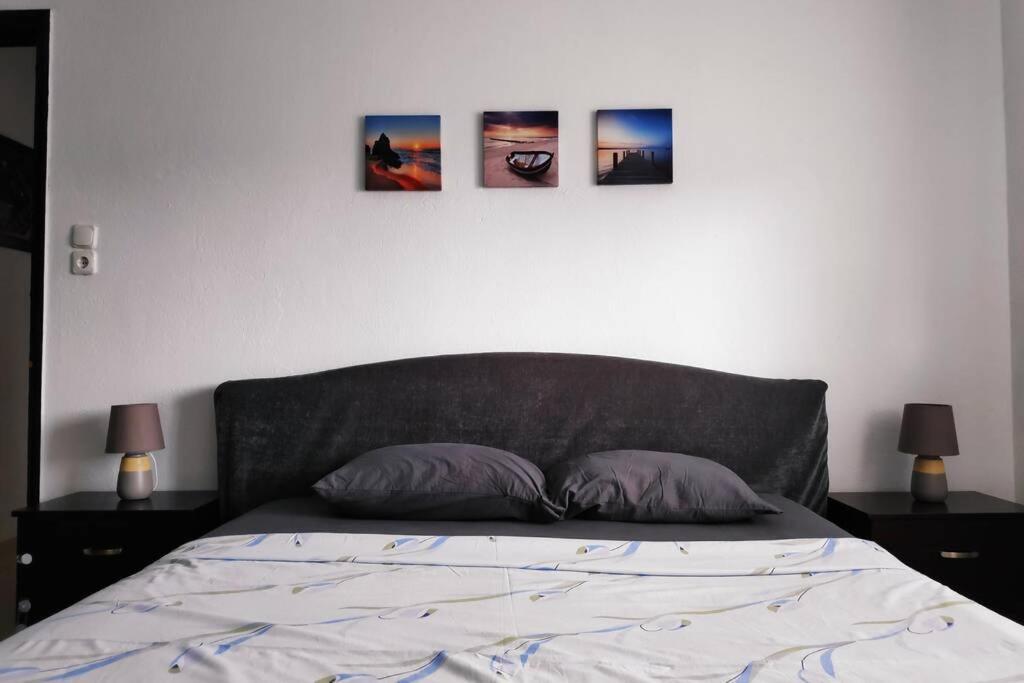 Iris Room Metamorfosi  Luaran gambar