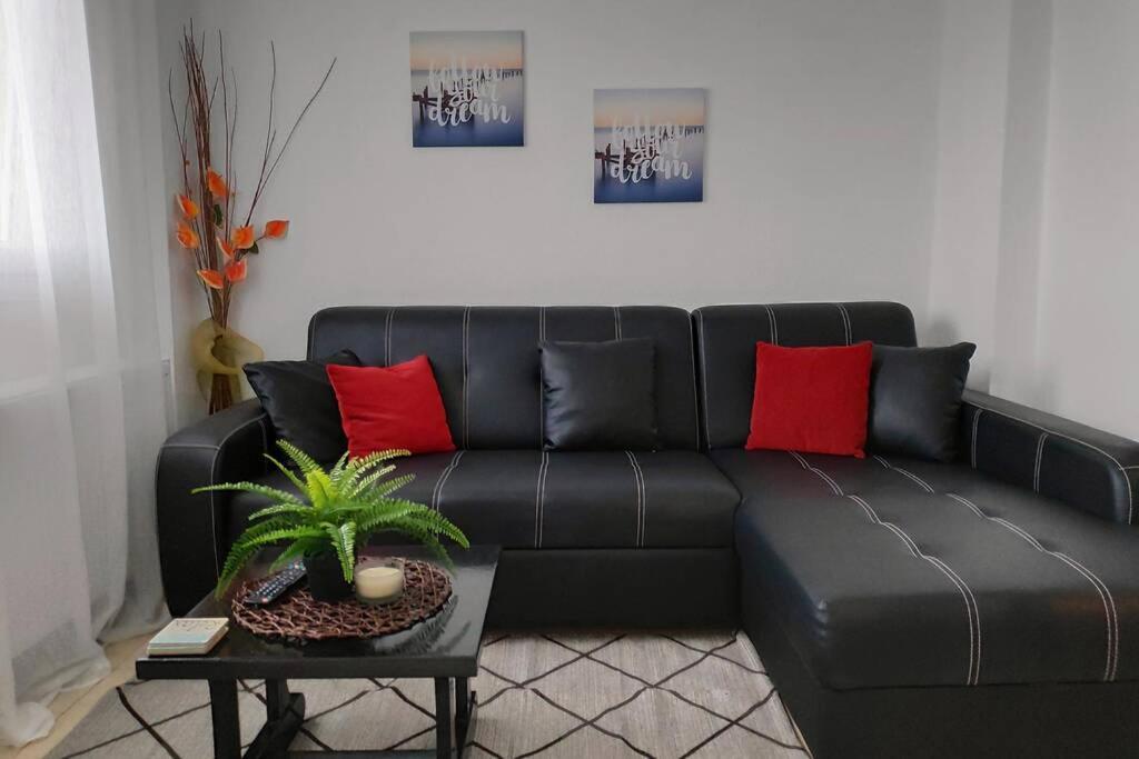 Iris Room Metamorfosi  Luaran gambar