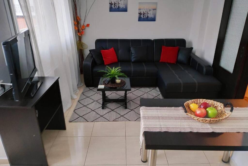 Iris Room Metamorfosi  Luaran gambar